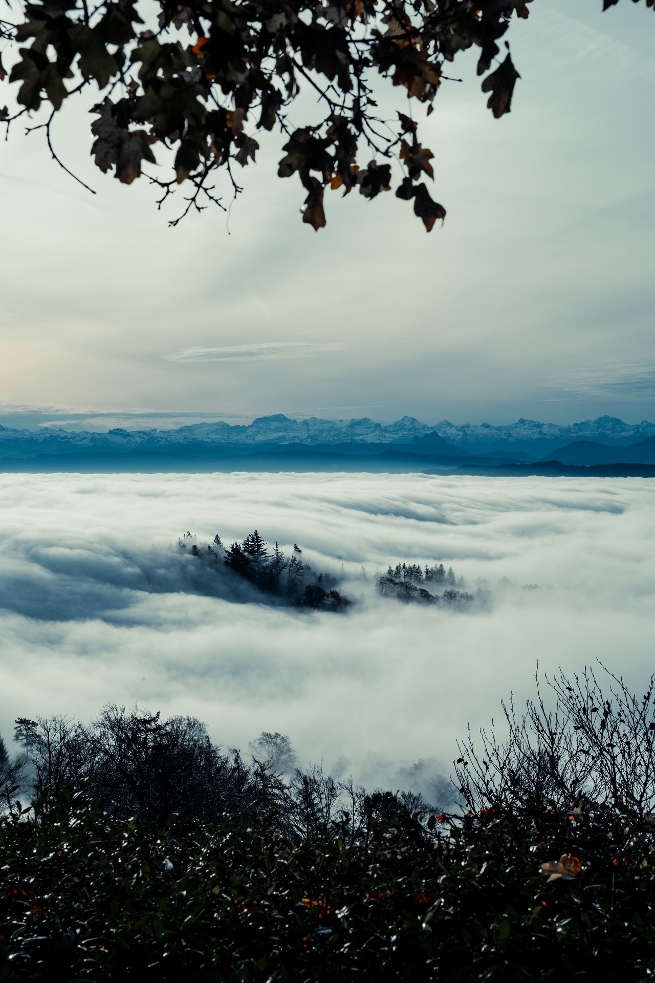 Swiss Discoveries: Uetliberg – Top of Zurich