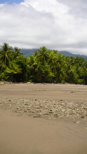Marina Balleno National Park