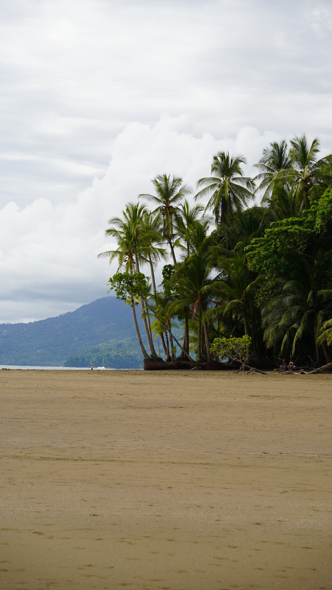 Beach of Marina Balleno National Park