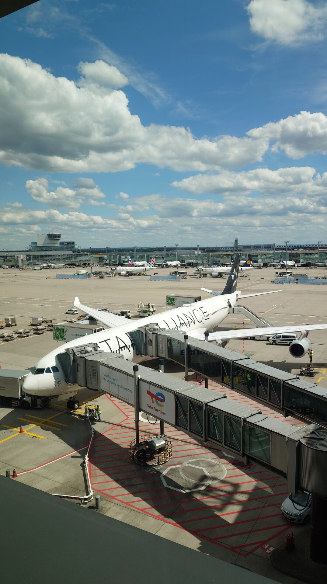 Nicole took the airplane with me and left everything in costa rica behind